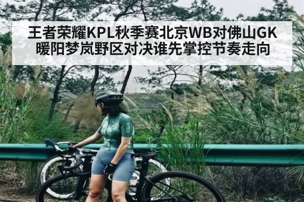 王者荣耀KPL秋季赛北京WB对佛山GK暖阳梦岚野区对决谁先掌控节奏走向